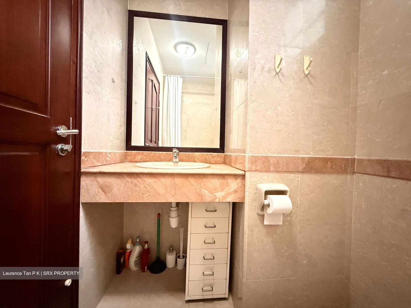 Tanglin Regency (D10), Condominium #613556971